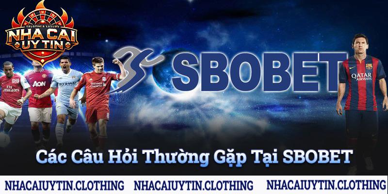 Tổng hợp các câu hỏi thường gặp của người chơi về Sbobet