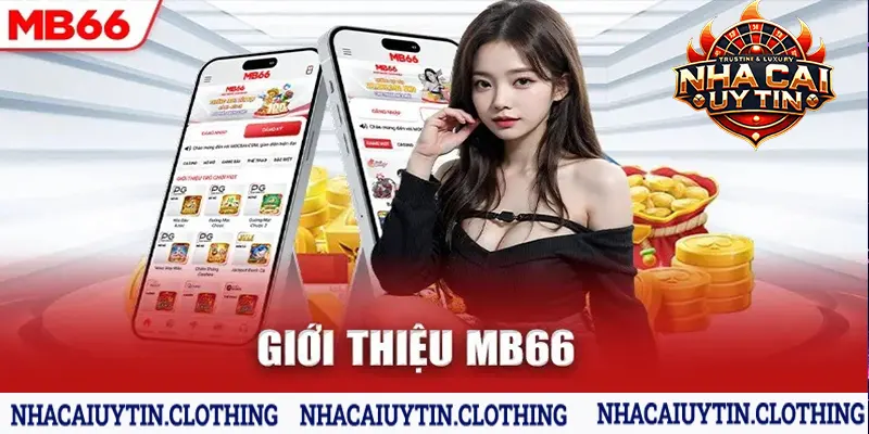 Giới thiệu những nét tổng quan về MB66