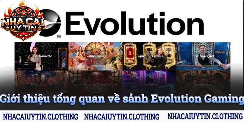 Giới thiệu tổng quan về sảnh Evolution Gaming